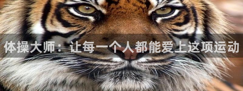 米兰体育官方正版app娱乐平台：体操大师：让每一个人