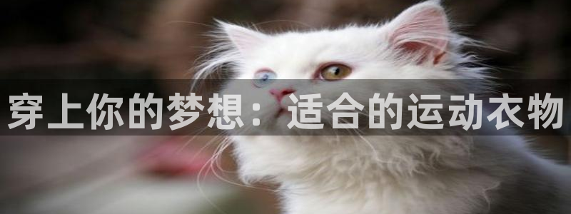米兰体育官方正版app集团官网首页网址：穿上你的梦想