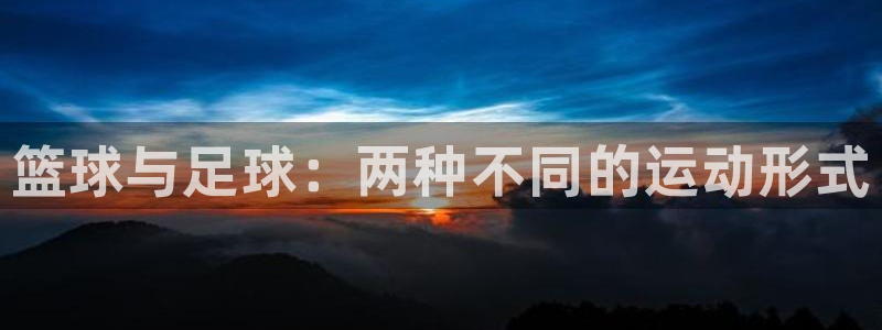 米兰体育官方正版app集团logo：篮球与足球：两种