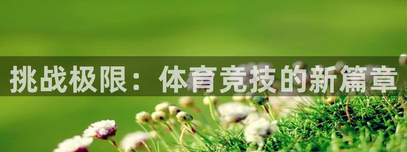米兰体育官方正版app集团E.ON：挑战极限：体育竞