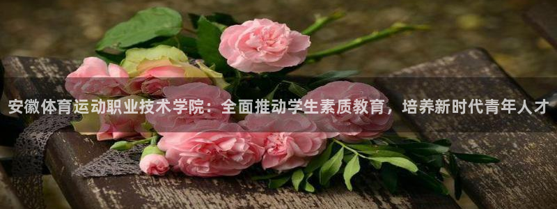 米兰体育官方正版app娱乐下载：安徽体育运动职业技术
