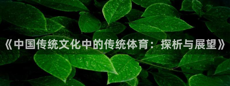 米兰体育官网下载平台注册：《中国传统文化中的传统体育