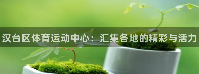 米兰体育官方正版app集团：汉台区体育运动中心：汇集