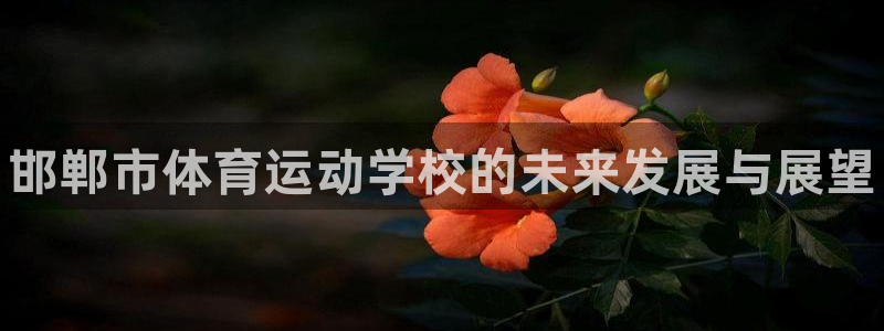 米兰体育官方集团官网：邯郸市体育运动学校的未来发展与