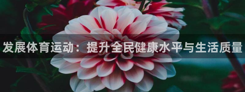 米兰体育官网下载注册：发展体育运动：提升全民健康水平