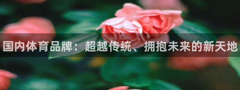 米兰体育官网下载平台注册：国内体育品牌：超越传统、拥