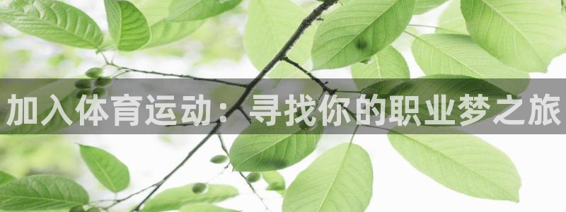米兰体育官方正版app娱乐下载：加入体育运动：寻找你
