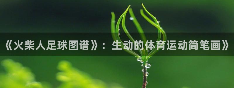 米兰体育官方正版app官网：《火柴人足球图谱》：生动