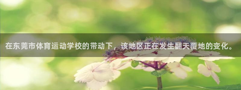 米兰体育官网下载平台假的吗是真的吗吗：在东莞市体育运动学校的