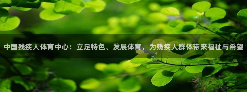 米兰体育官方正版app官方：中国残疾人体育中心：立足特色、发