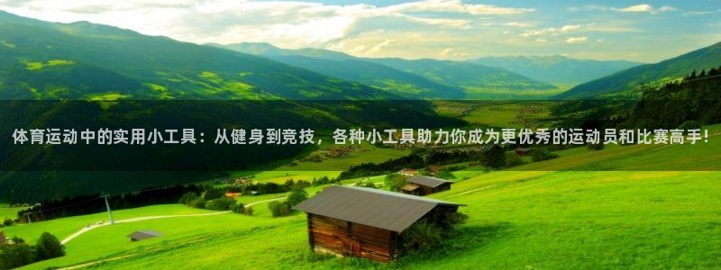 米兰体育官网下载招商电话地址查询：体育运动中的实用小工具：从