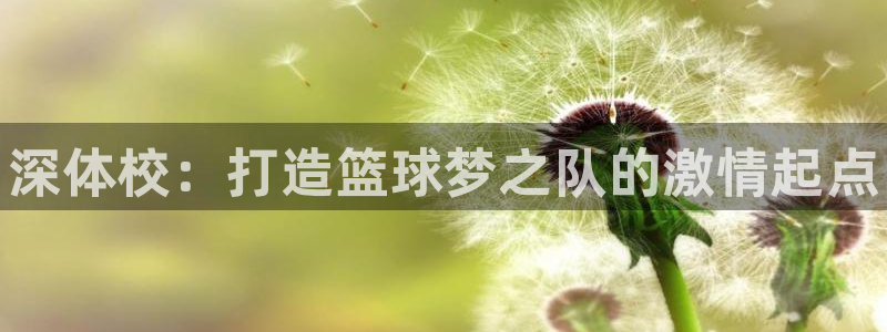 米兰体育官网下载平台注册要钱吗安全吗：深体校：打造篮