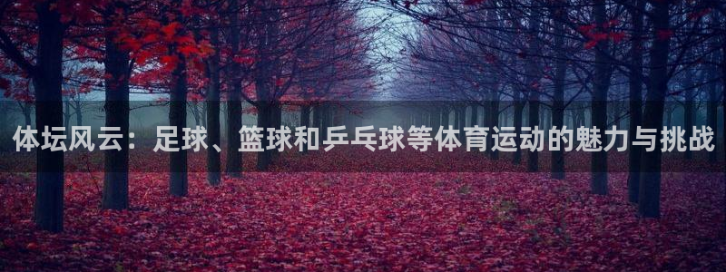 米兰体育官网下载娱乐：体坛风云：足球、篮球和乒乓球等体育运动