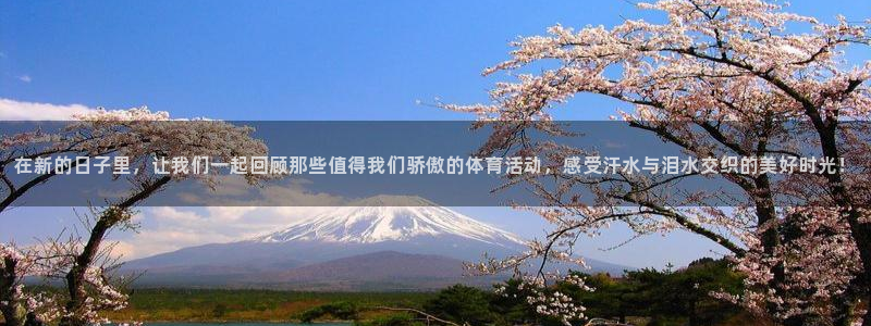 米兰体育官网下载平台：在新的日子里，让我们一起回顾那