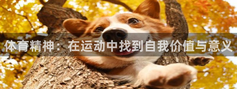 米兰体育官网下载招商电话地址：体育精神：在运动中找到