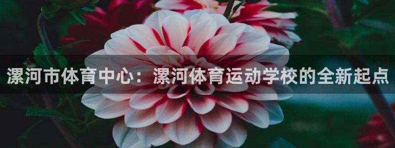 米兰体育官网下载招商电话号码是多少啊：漯河市体育中心