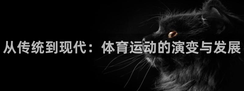 米兰体育官网下载平台假的吗是真的吗：从传统到现代：体
