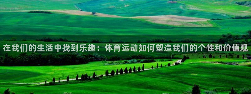 海南米兰体育官网下载：在我们的生活中找到乐趣：体育运