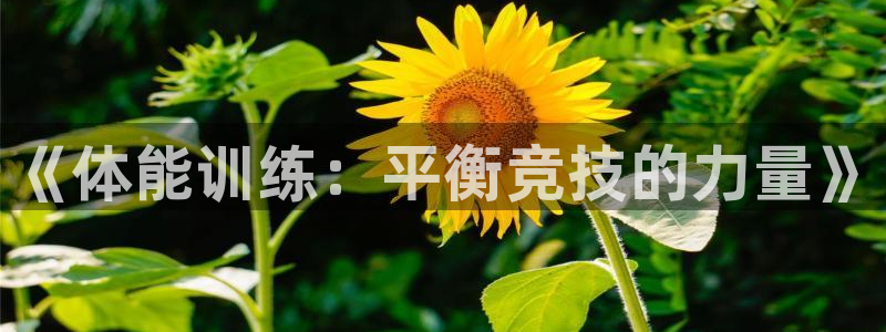 米兰体育官方正版app新能源