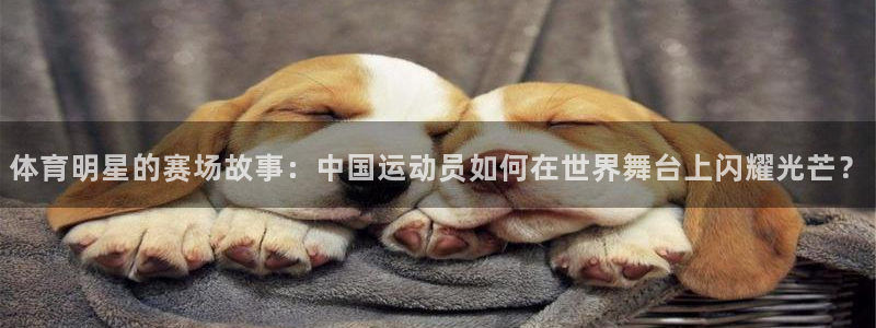 米兰体育官网下载平台APP：体育明星的赛场故事：中国运动员如
