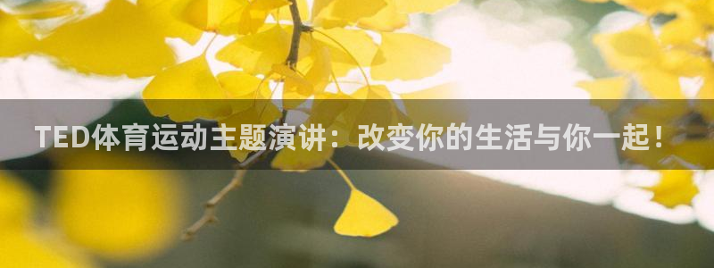 国际米兰体育场