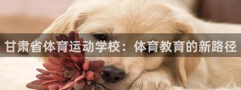 米兰体育官方正版app五金厂