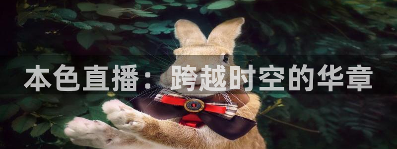 蜘蛛直播体育免费观看：本色直播：跨越时空的华章