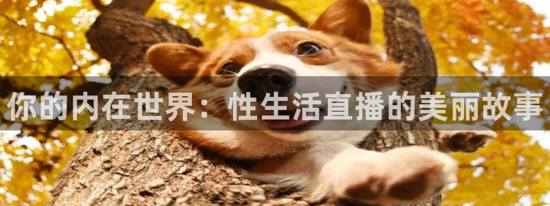 蜘蛛体育nba直播入口：你的内在世界：性生活直播的美丽故事