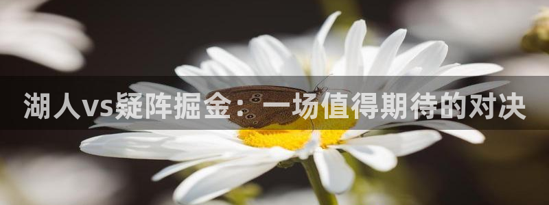 蜘蛛体育直播小狐狸：湖人vs疑阵掘金：一场值得期待的对决