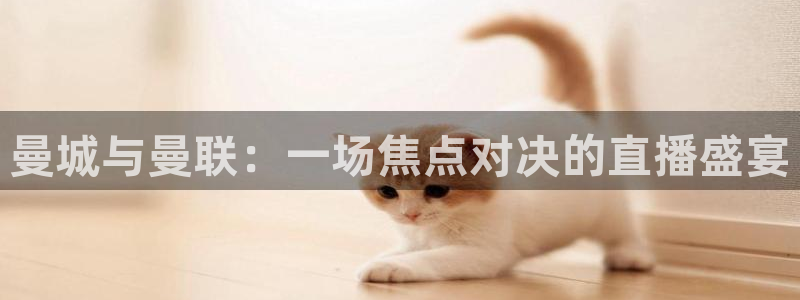 蜘蛛体育：曼城与曼联：一场焦点对决的直播盛宴