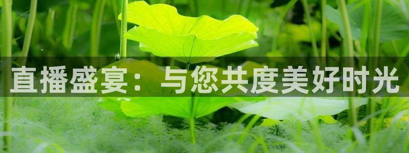 蜘蛛直播体育：直播盛宴：与您共度美好时光
