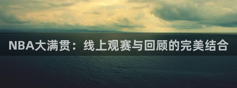 蜘蛛直播 nba：NBA大满贯：线上观赛与回顾的完美结合