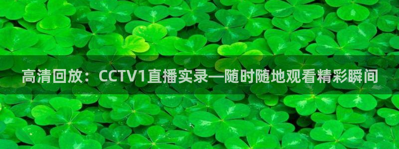 蜘蛛nba直播免费观看：高清回放：CCTV1直播实录—随时随地观看精彩瞬间
