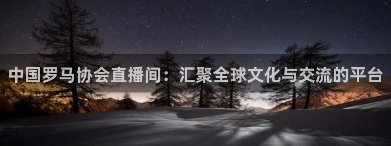 蜘蛛体育直播在线直播：中国罗马协会直播间：汇聚全球文化与交流的平台