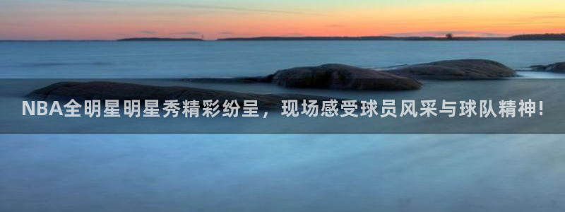 蜘蛛体育nba直播入口：NBA全明星明星秀精彩纷呈，现场感受球员风采与球队精神!