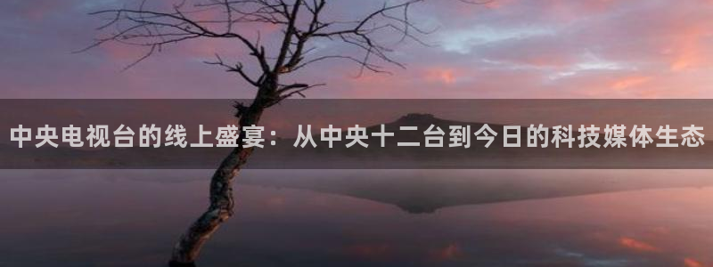 蜘蛛直播nba直播在线直播：中央电视台的线上盛宴：从中央十二台到今日的科技媒体生态