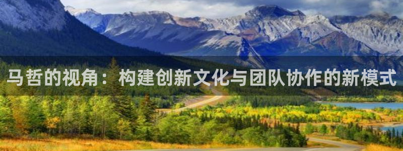 蜘蛛体育直播app下载官网：马哲的视角：构建创新文化与团队协作的新模式