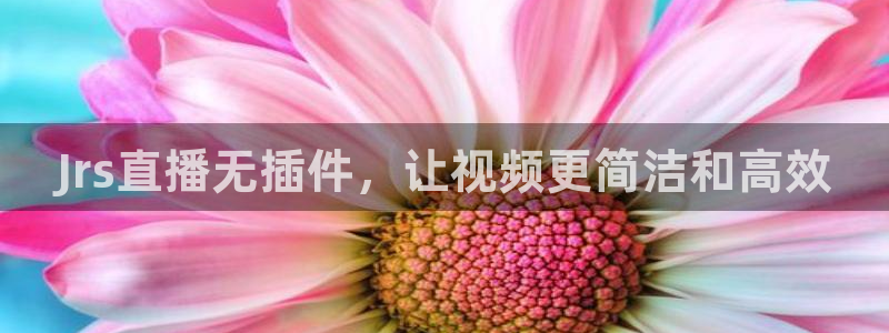 蜘蛛直播体育足球：Jrs直播无插件，让视频更简洁和高效