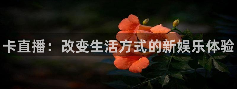蜘蛛nba：卡直播：改变生活方式的新娱乐体验