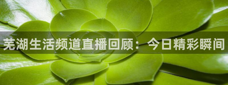 蜘蛛直播体育：芜湖生活频道直播回顾：今日精彩瞬间
